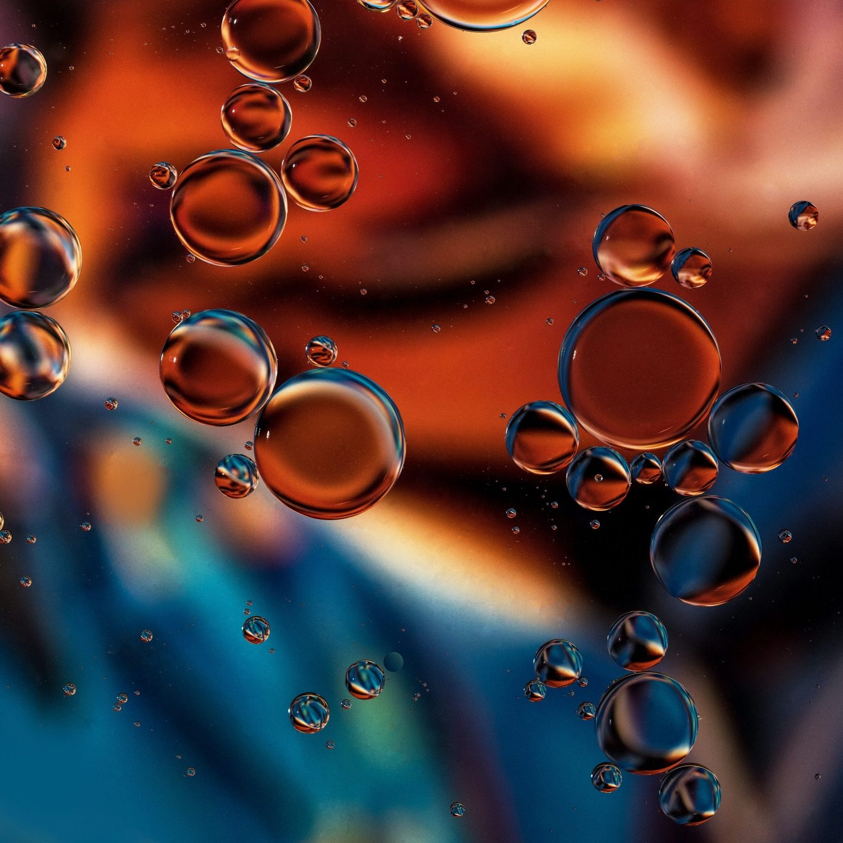 david-clode-RHwX3Dpg8I0-unsplash